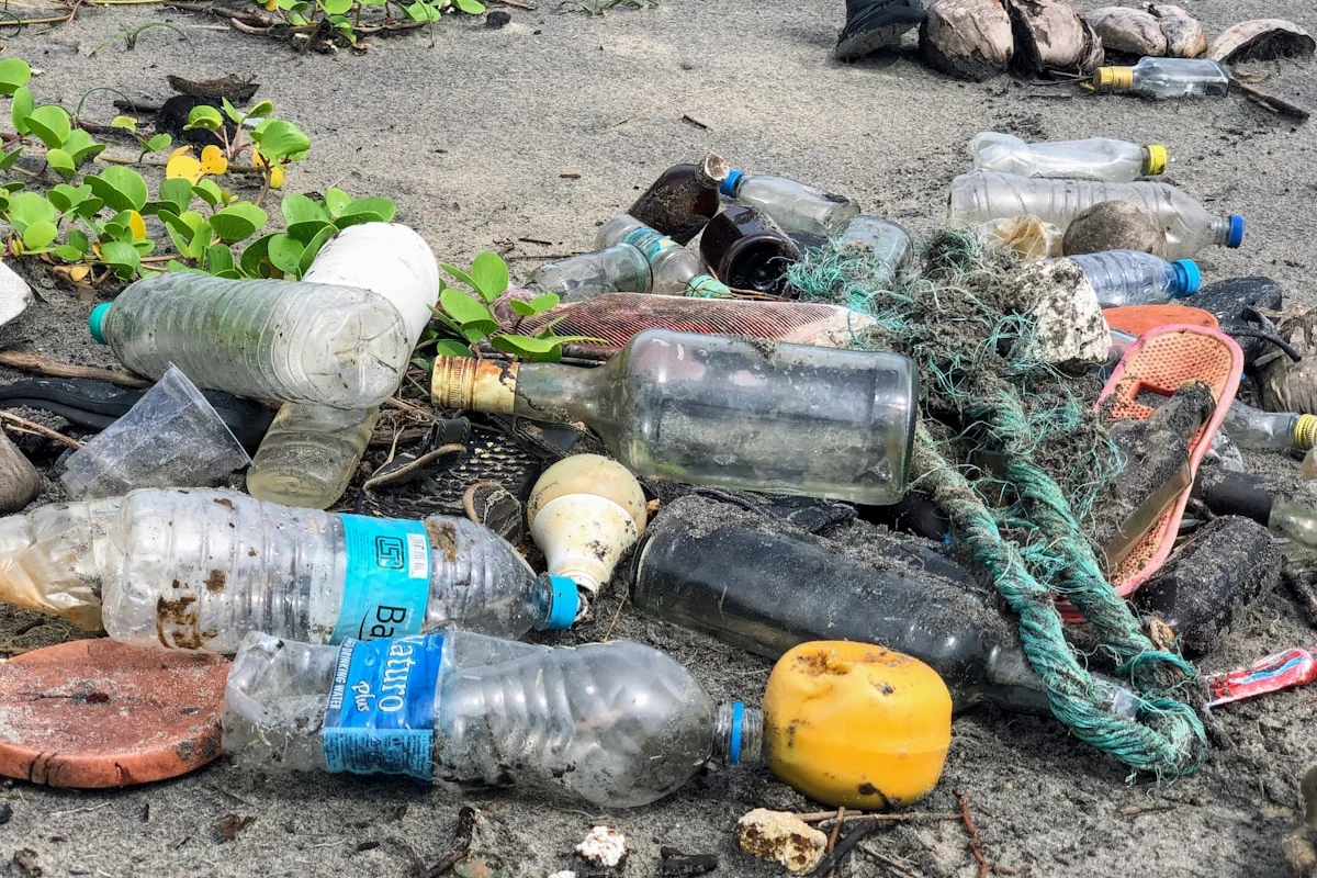 Marca Personal Ecosistema